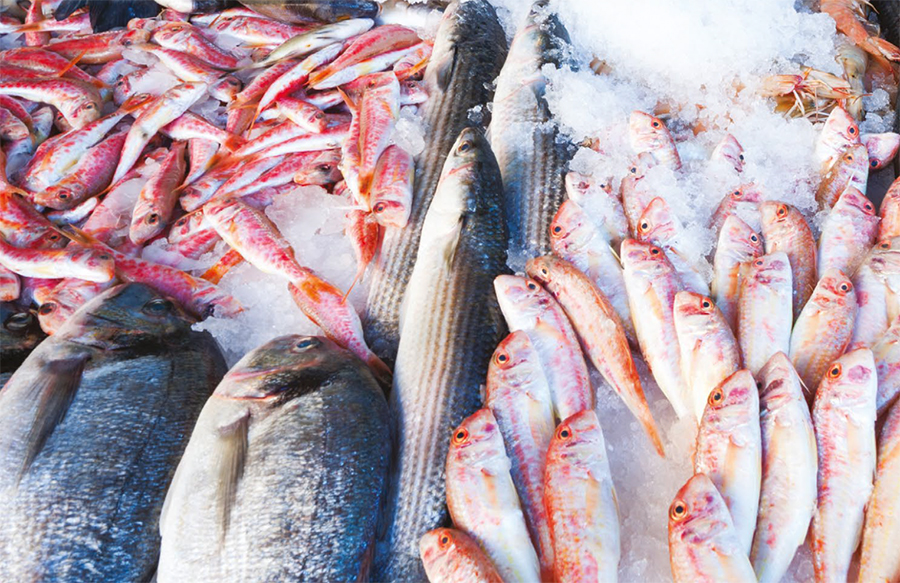 SFP Moving Away From Certifications Towards a Full Disclosure Campaign for Major Seafood Buyers
